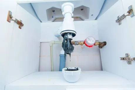 drain-cleaning-kitchen-sink